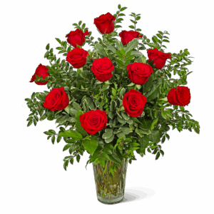 One Dozen Elegant Red Roses (As Shown)